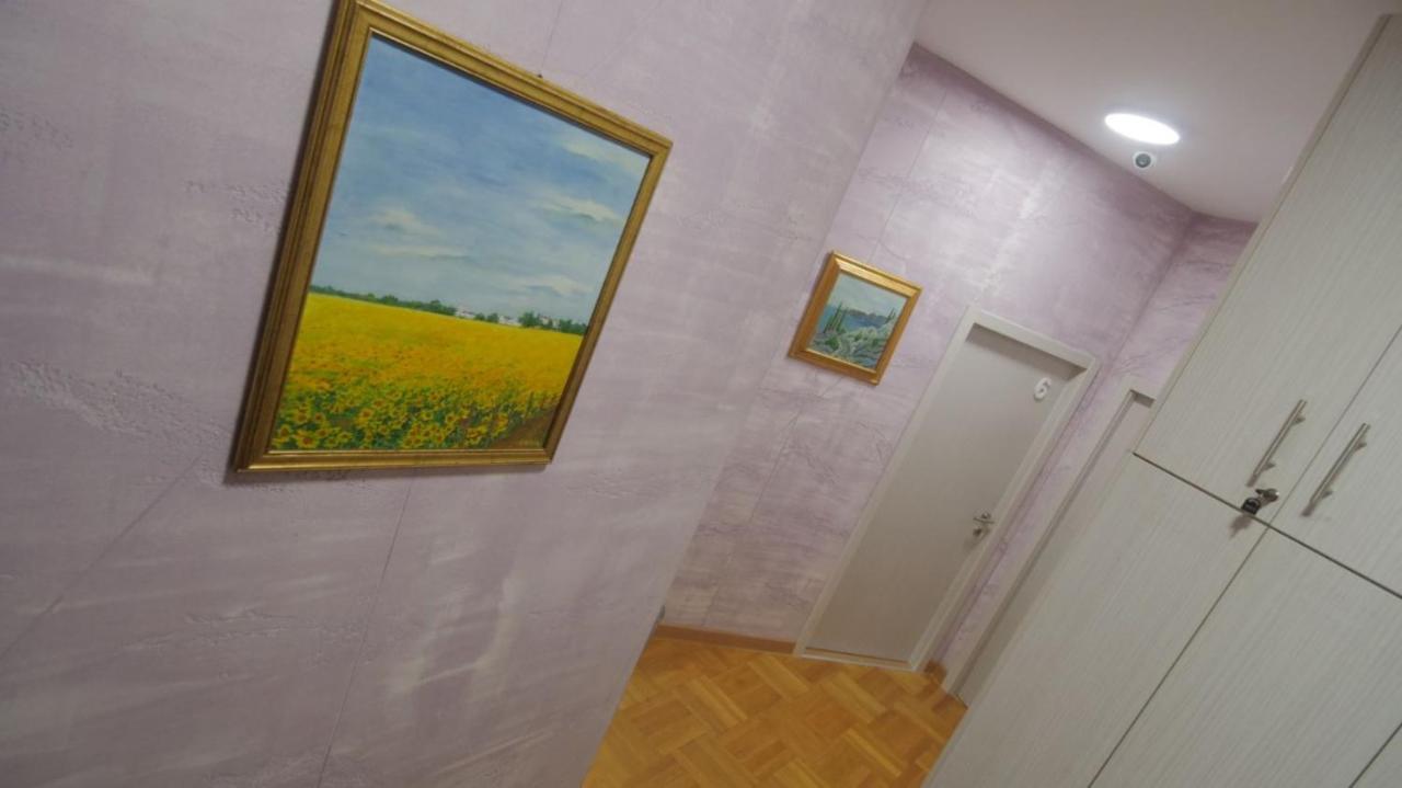 Hostel Stella Di Notte Vip Bělehrad Exteriér fotografie